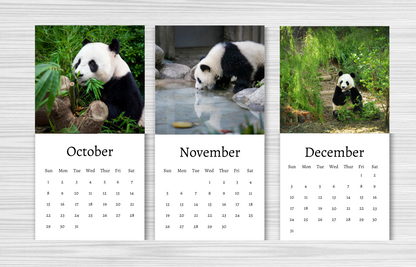 Mini Panda Calendar 2025