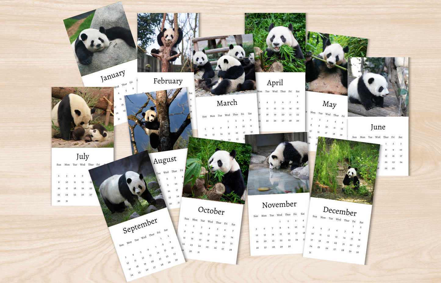 Mini Panda Calendar 2025