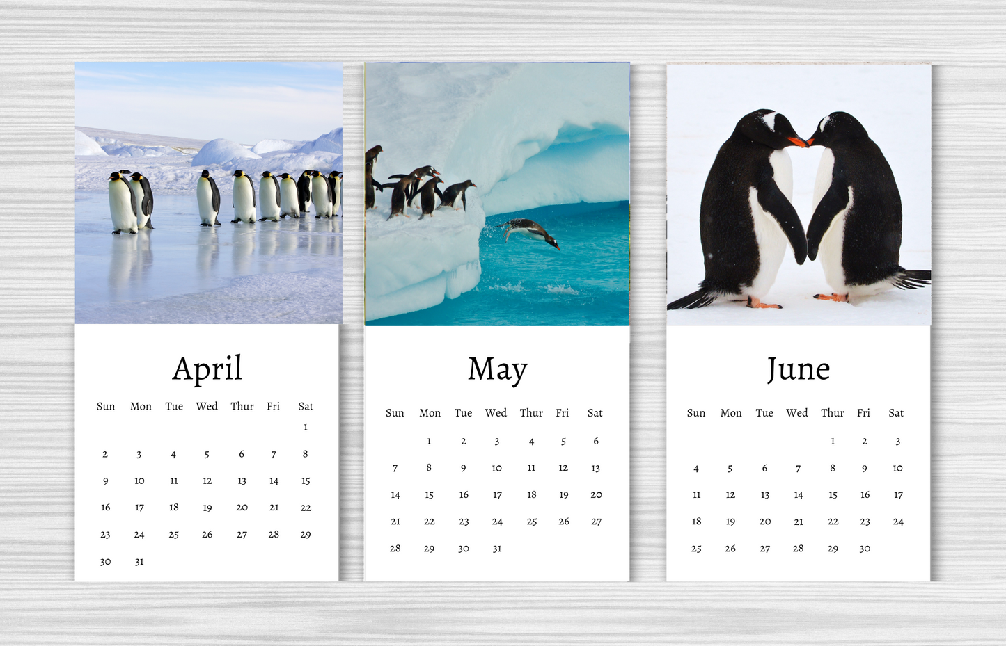 Mini Penguin Calendar 2025