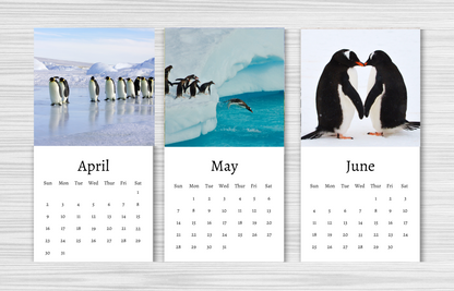 Mini Penguin Calendar 2025