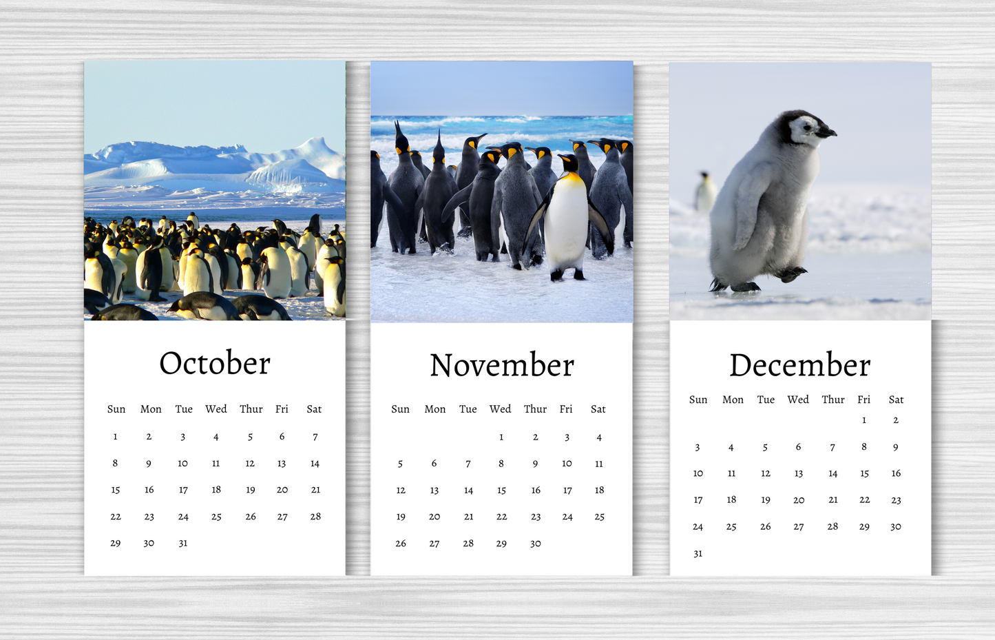 Mini Penguin Calendar 2025