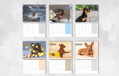 Miniature Pinscher Calendar 2025