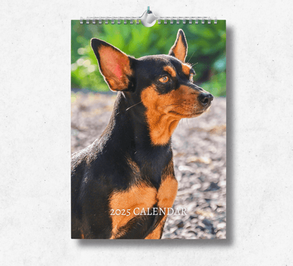 2025 Miniature Pinscher calendar featuring a black mini pinscher on a gravel track.