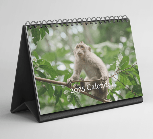 Monkey Desk Calendar 2025