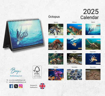 Octopus Desk Calendar 2025