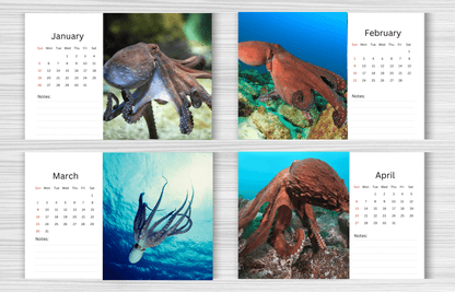 Octopus Desk Calendar 2025