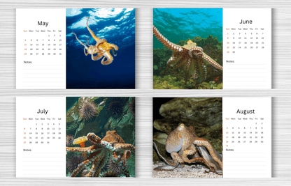 Octopus Desk Calendar 2025