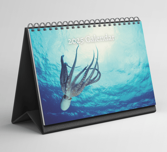 Octopus Desk Calendar 2025