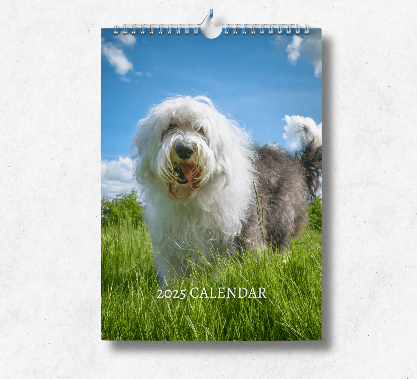 Old English Sheepdog Calendar 2025