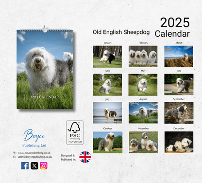 Old English Sheepdog Calendar 2025