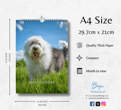 Old English Sheepdog Calendar 2025