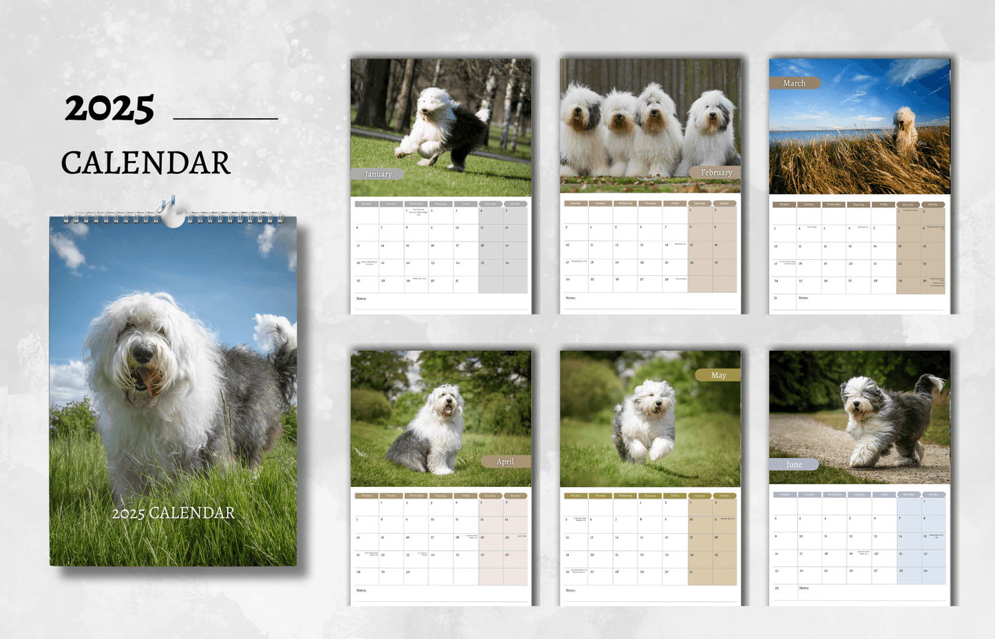 Old English Sheepdog Calendar 2025