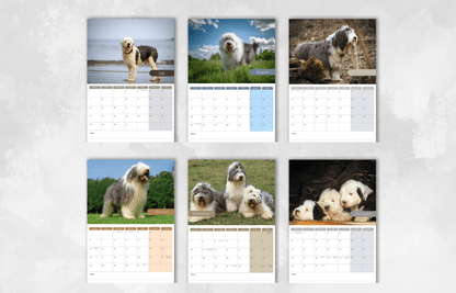 Old English Sheepdog Calendar 2025