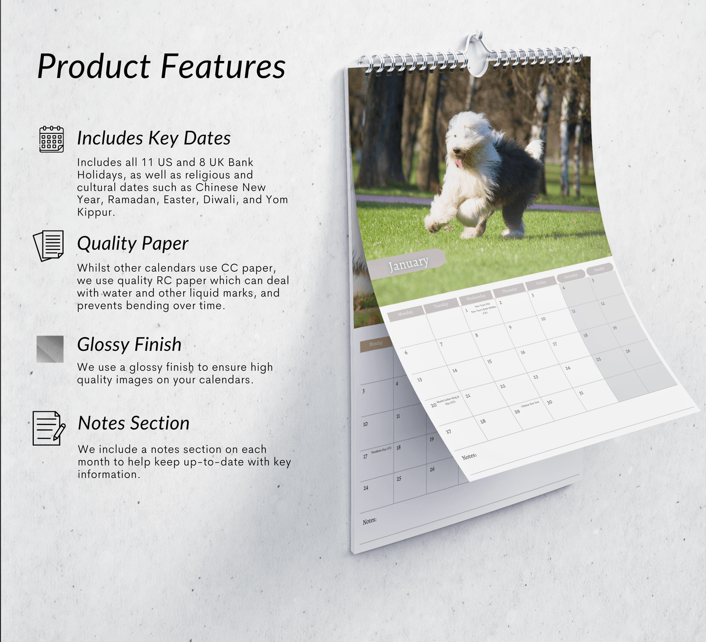 Old English Sheepdog Calendar 2025