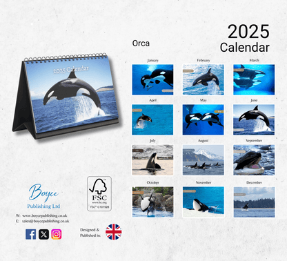 Orca Desk Calendar 2025