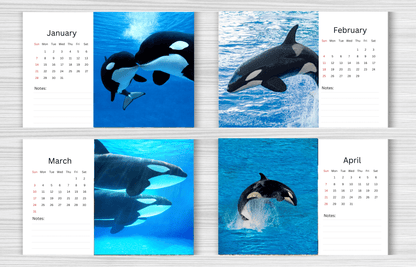 Orca Desk Calendar 2025