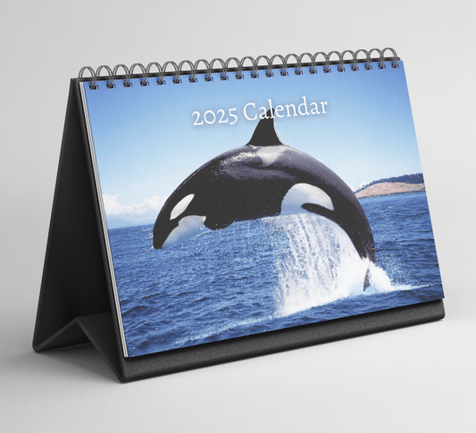 Orca Desk Calendar 2025