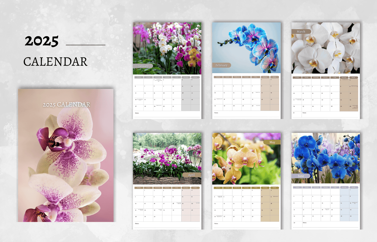 Orchids Calendar 2025