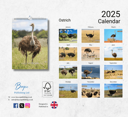 Ostrich Calendar 2025