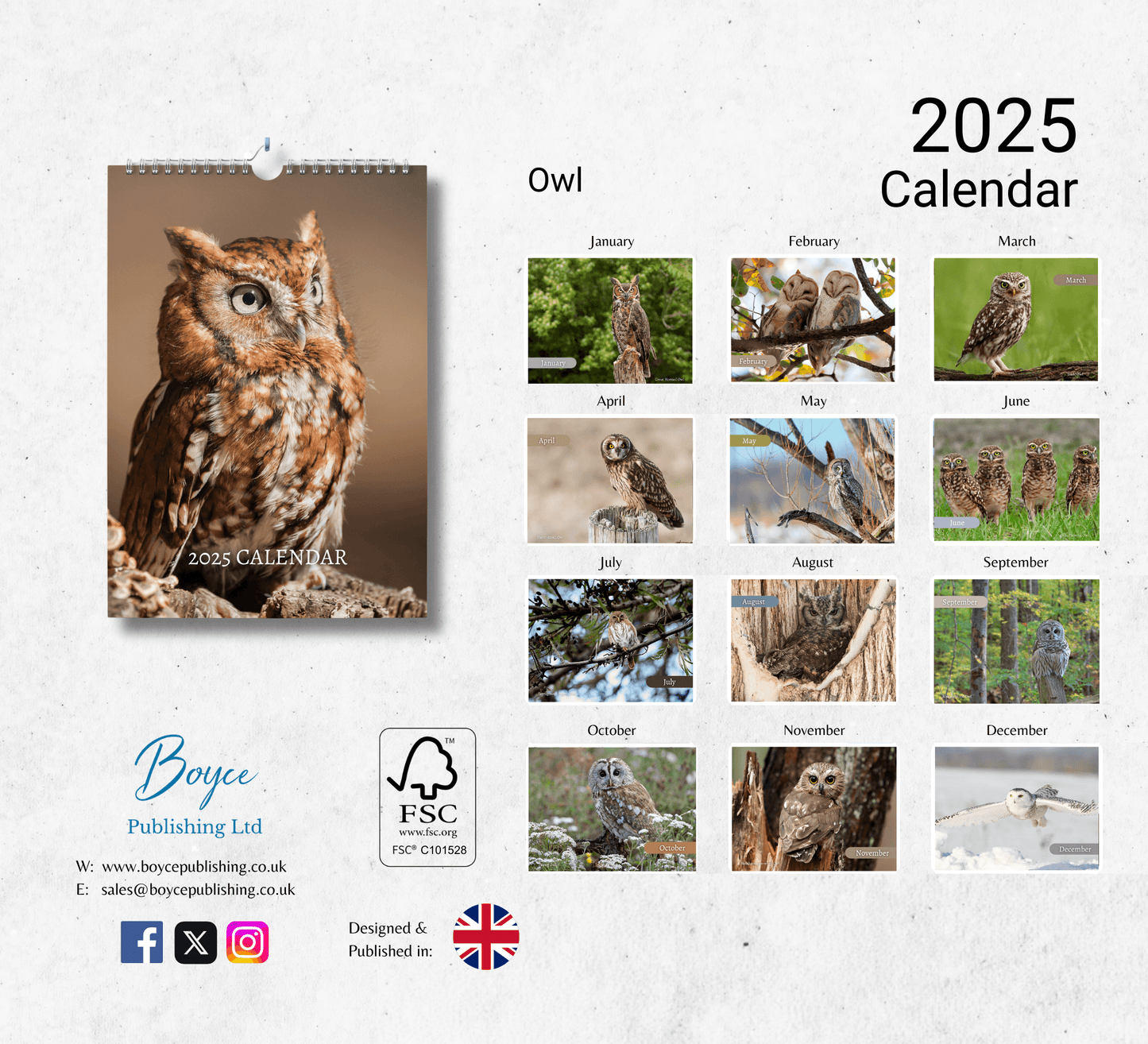 Owl Calendar 2025