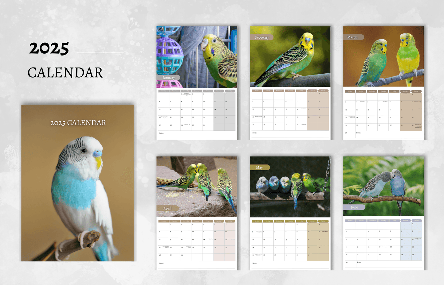 Parakeet Calendar 2025