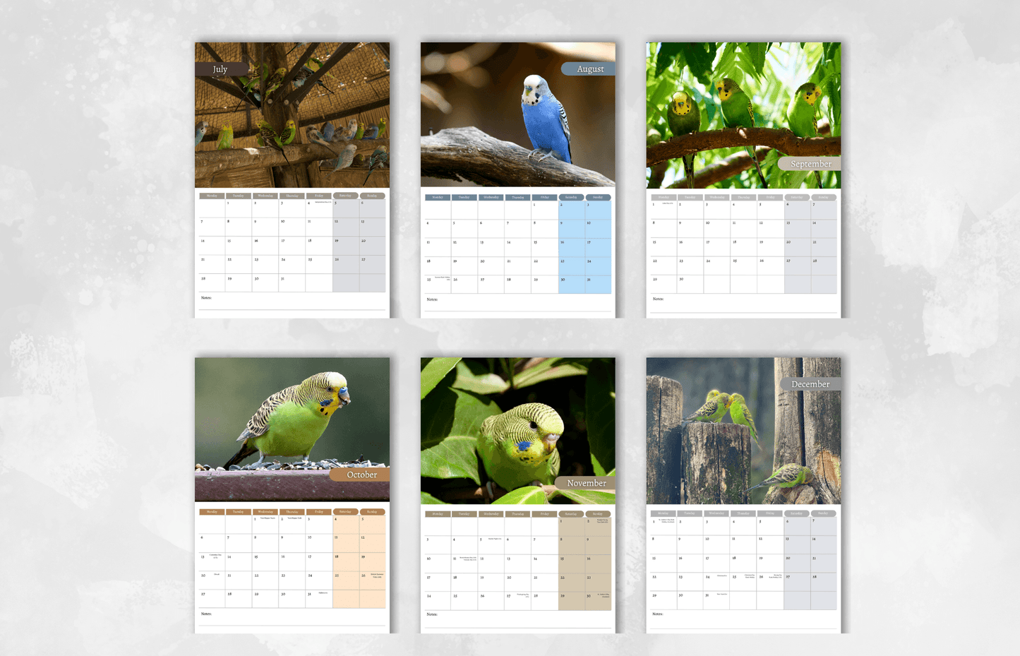 Parakeet Calendar 2025