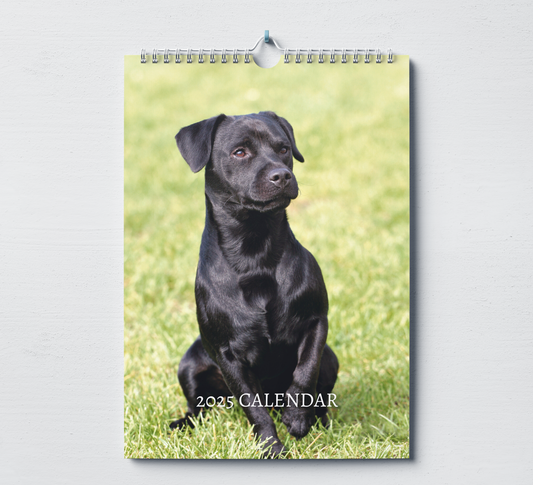 Patterdale Terrier Calendar 2025