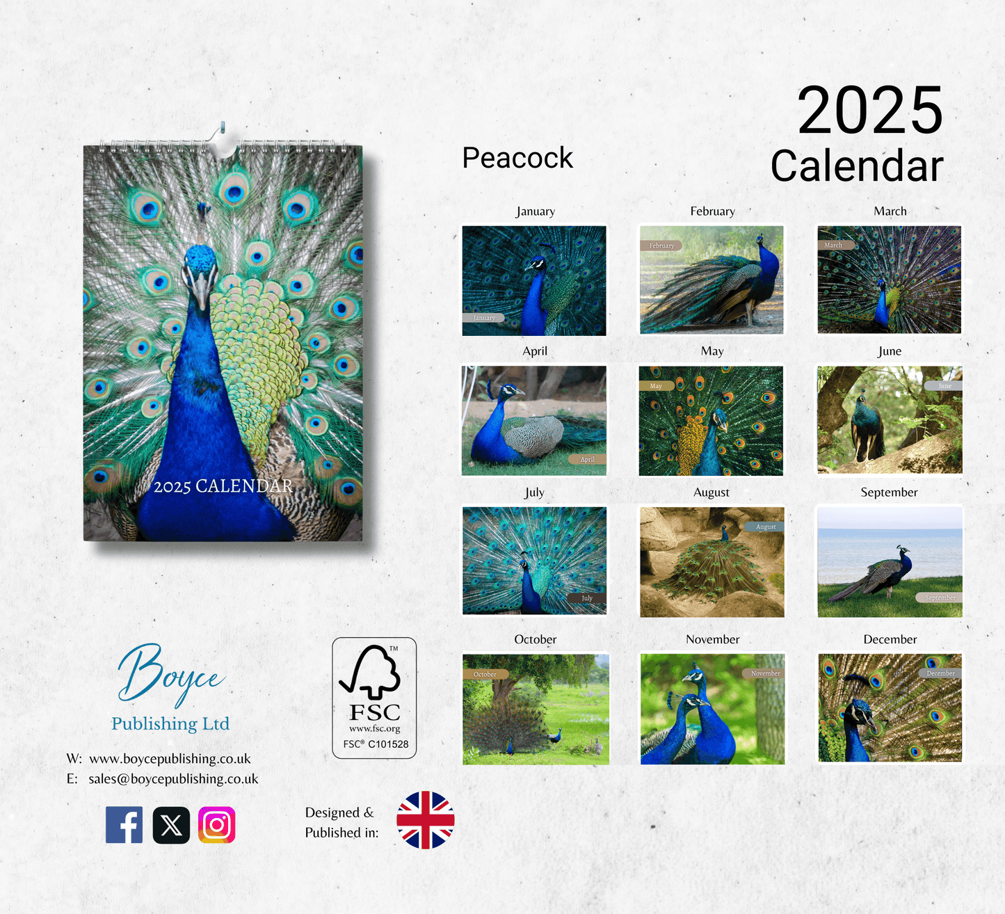 Peacock Calendar 2025