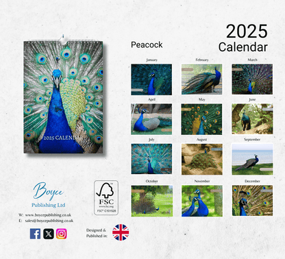 Peacock Calendar 2025