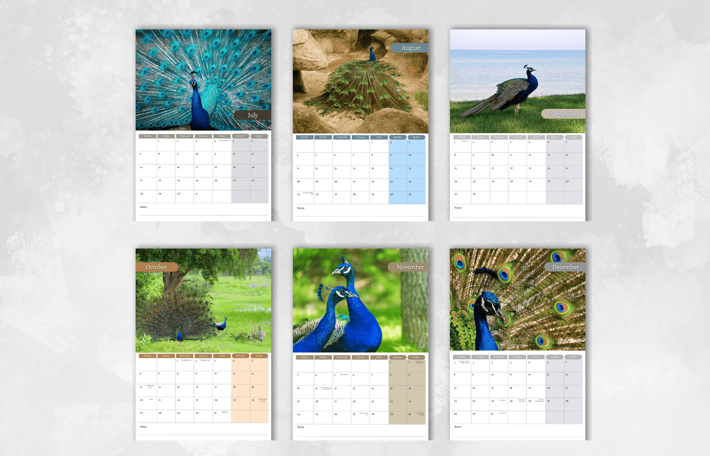 Peacock Calendar 2025