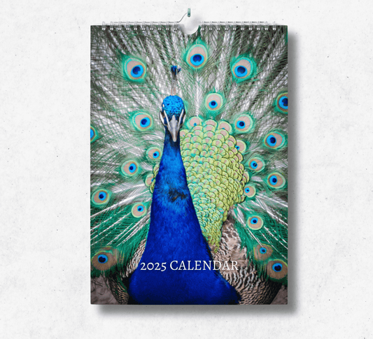 Peacock Calendar 2025