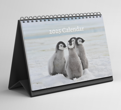 Penguin Desk Calendar 2025