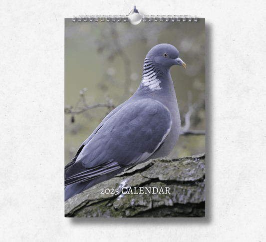 Pigeon Calendar 2025