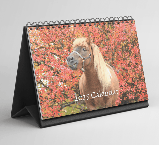 Pony Desk Calendar 2025