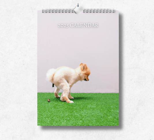 2025 Pooping Dog calendar featuring a small pomeranian pooping on an artifical green grass.