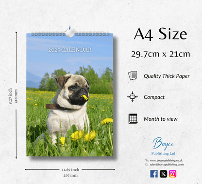 Pug Calendar 2025