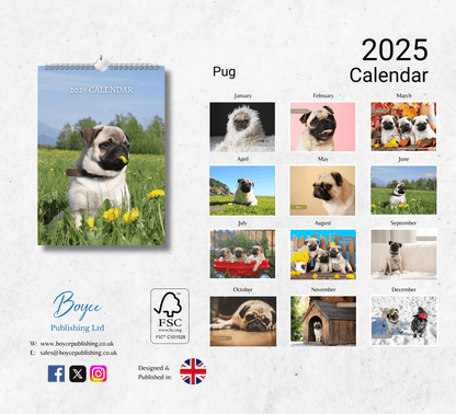 Pug Calendar 2025