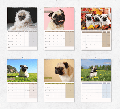 Pug Calendar 2025