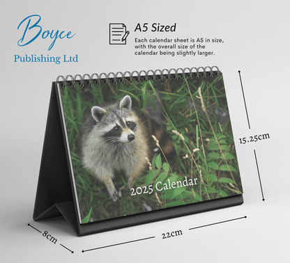 Racoon Desk Calendar 2025