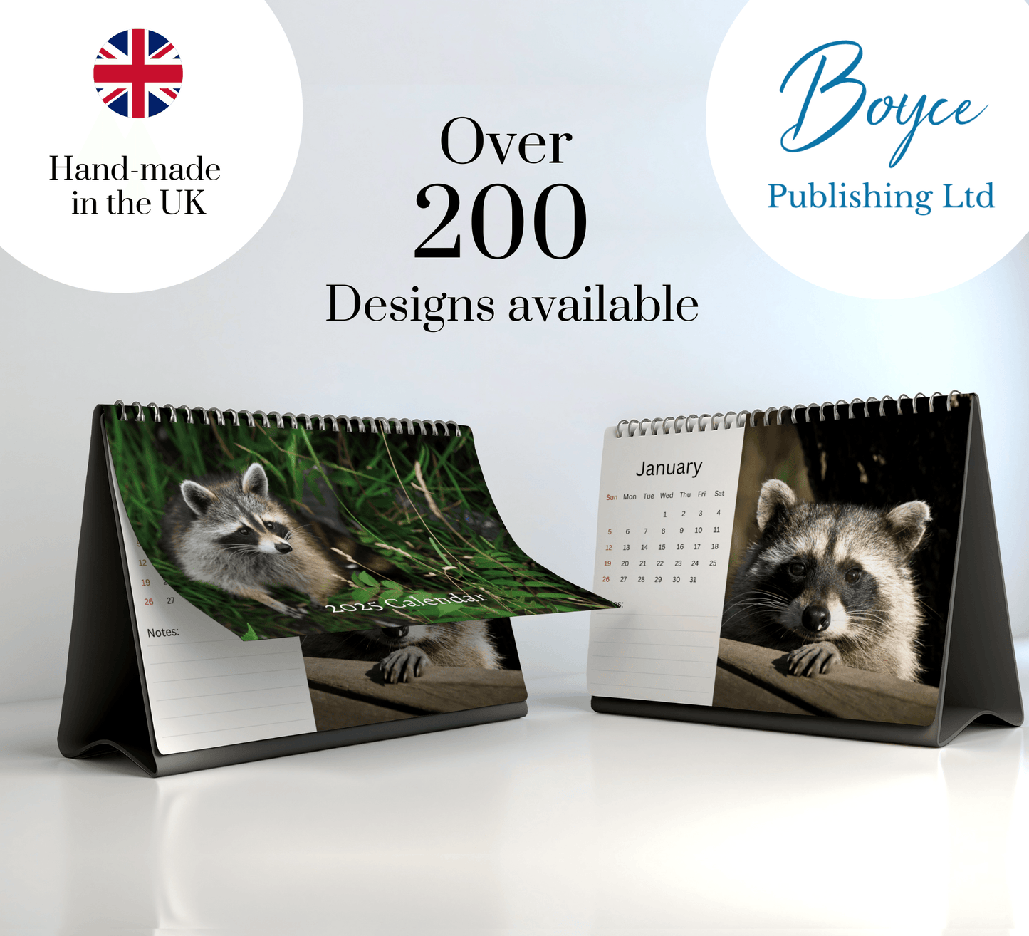 Racoon Desk Calendar 2025