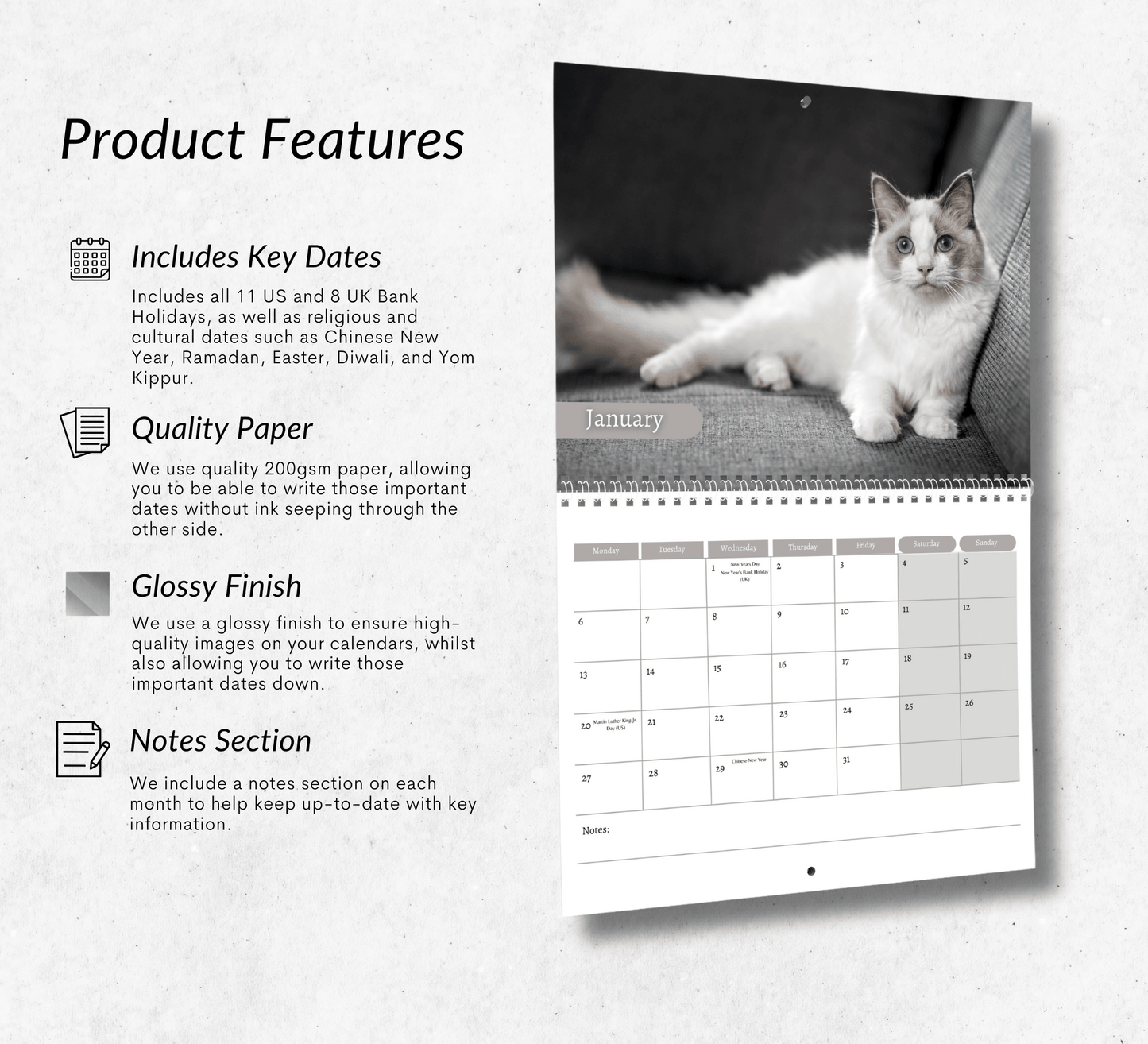 Ragdoll Cat Calendar 2025