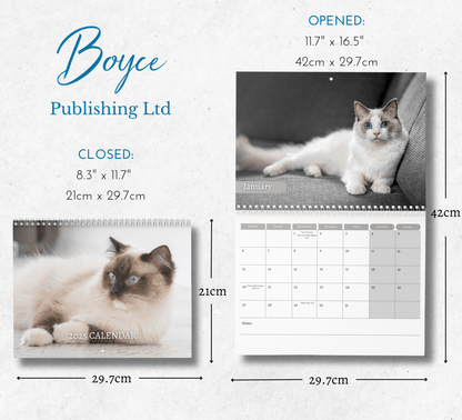 Ragdoll Cat Calendar 2025