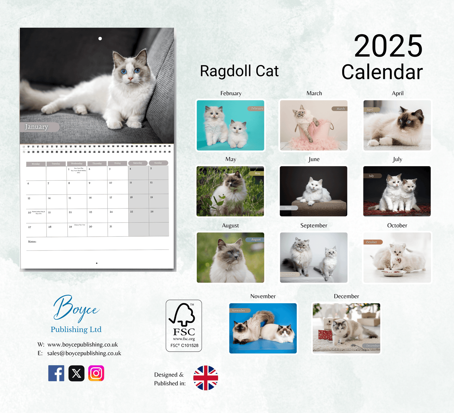 Ragdoll Cat Calendar 2025