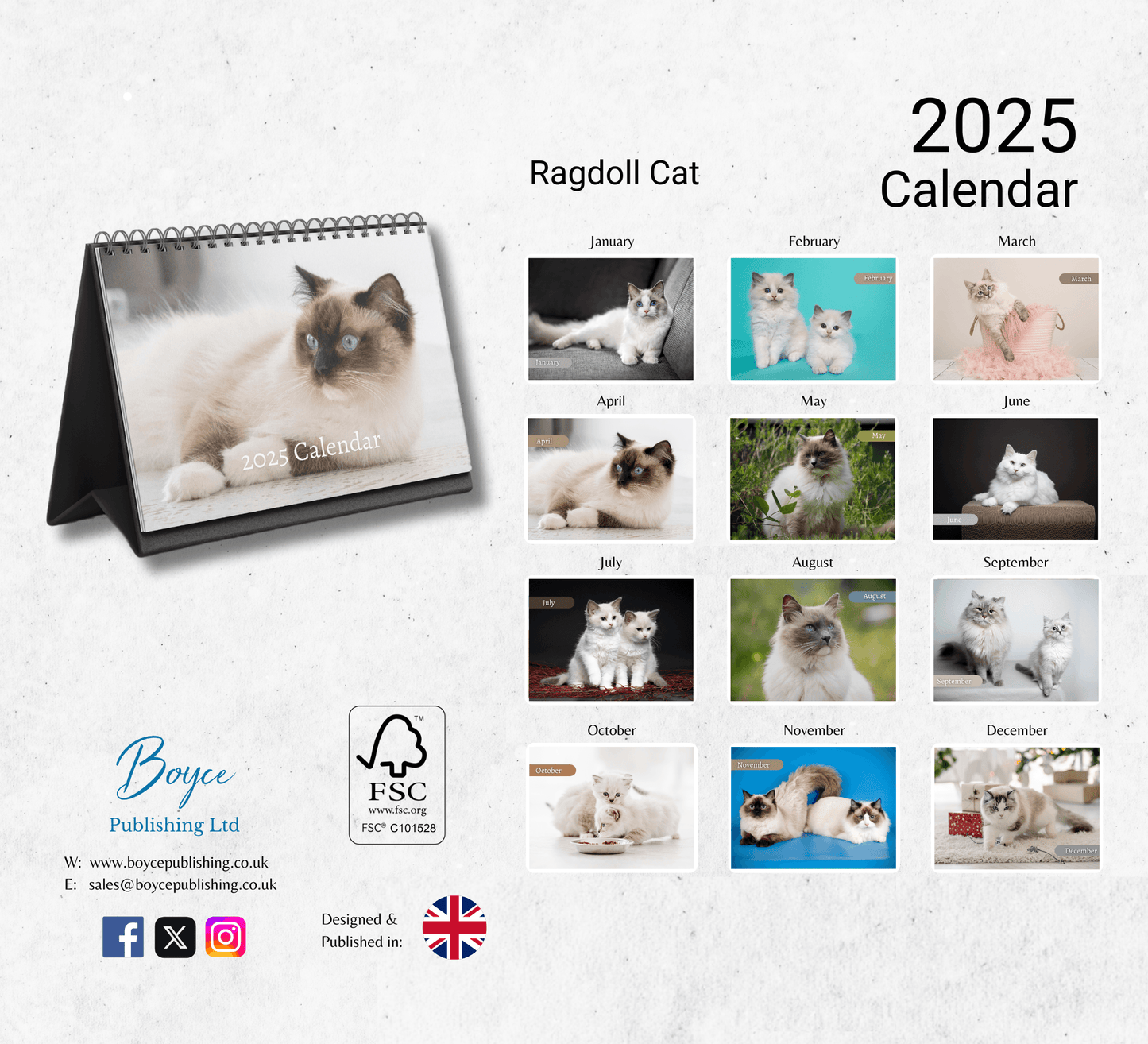 Ragdoll Cat Desk Calendar 2025