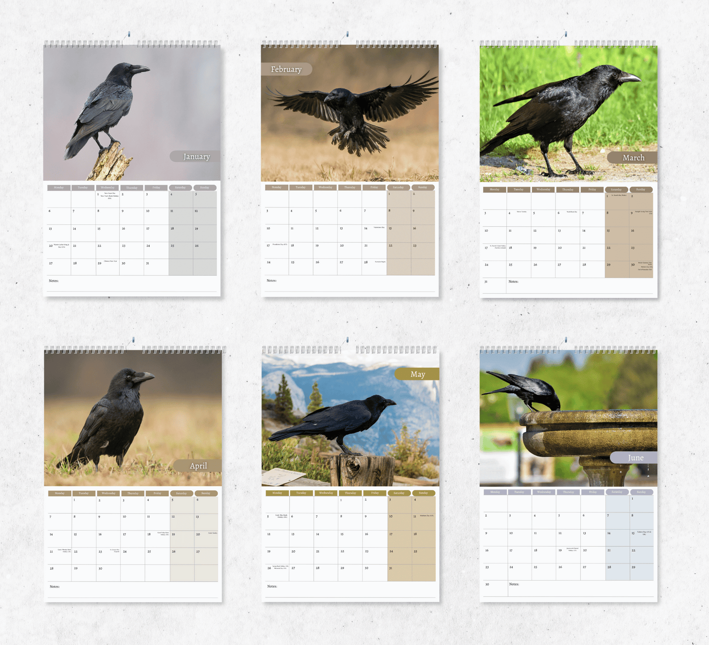 Raven Calendar 2025