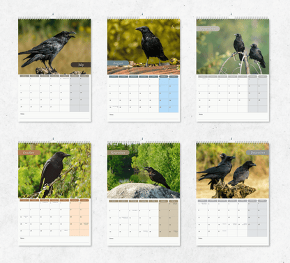 Raven Calendar 2025