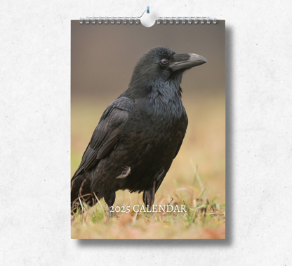 2025 Raven calendar featuring a majestic raven standing in a grass field.