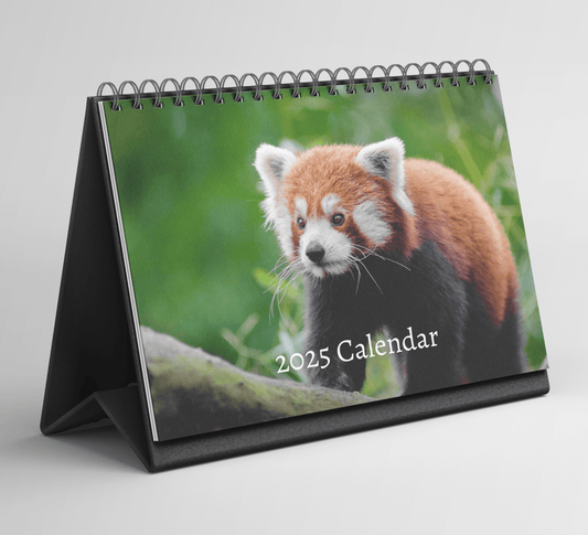 Red Panda Desk Calendar 2025