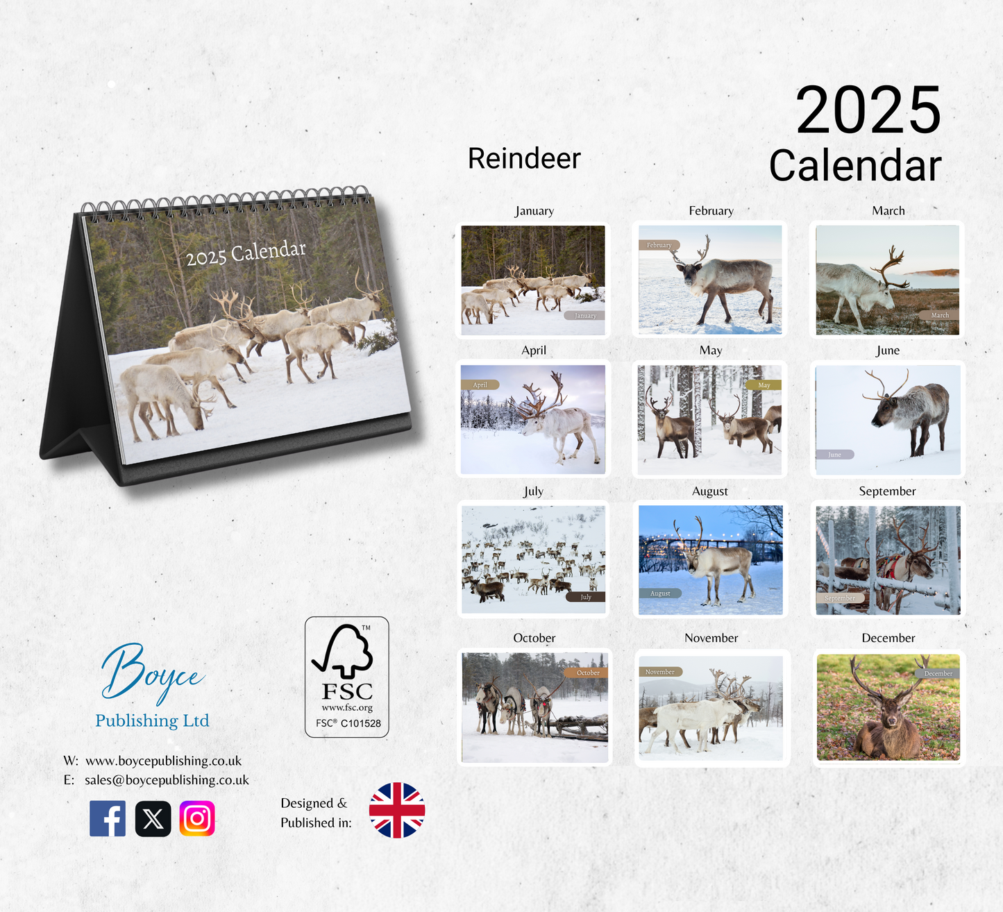 Reindeer Desk Calendar 2025