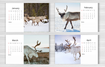 Reindeer Desk Calendar 2025